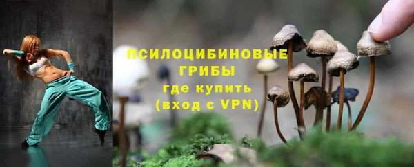 спиды Волоколамск