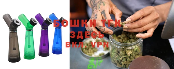 твердый Володарск