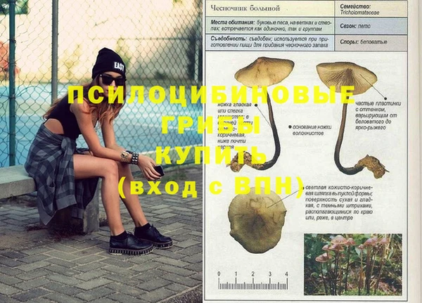 кокаин премиум Волосово