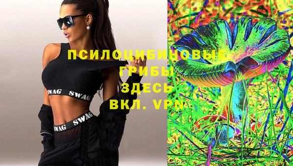 твердый Володарск
